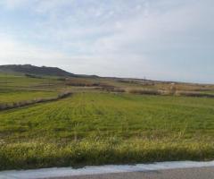 Οικόπεδο επαρχιακή οδός Μύρινας-Ρεπανιδίου-ΛΗΜΝΟΣ