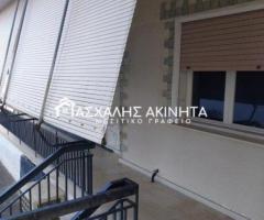 ΚΟΥΦΑΛΙΑ ΜΟΝΟΚΑΤΟΙΚΙΑ ΠΩΛΗΣΕΙΣ 18989 - Εικόνα 11/12