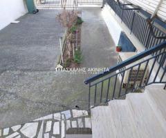 ΚΟΥΦΑΛΙΑ ΜΟΝΟΚΑΤΟΙΚΙΑ ΠΩΛΗΣΕΙΣ 18989 - Εικόνα 12/12