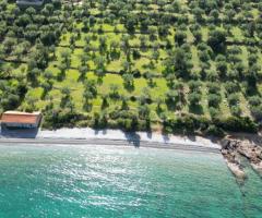 ΠΟΥΛΙΘΡΑ - ΛΕΩΝΙΔΙΟ - ΑΡΚΑΔΙΑ - ΠΕΛΟΠΟΝΝΗΣΟΣ