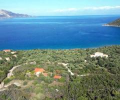 ΠΟΥΛΙΘΡΑ - ΛΕΩΝΙΔΙΟ - ΑΡΚΑΔΙΑ - ΠΕΛΟΠΟΝΝΗΣΟΣ