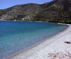 ΠΟΥΛΙΘΡΑ - ΛΕΩΝΙΔΙΟ - ΑΡΚΑΔΙΑ - ΠΕΛΟΠΟΝΝΗΣΟΣ