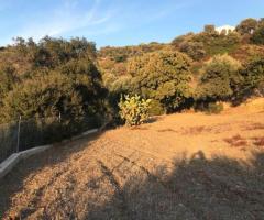 Οικόπεδο με θέα στη θάλασσα και το ηλιοβασίλεμα