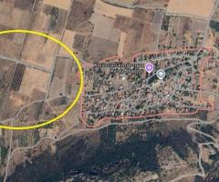 Αγιος Βλασσιος Χαιρωνεια 20.000τμ αγροτεμαχιο