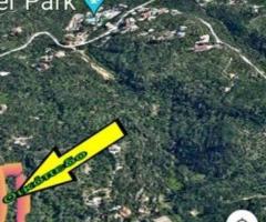 ΤΡΑΓΑΚΙ ΖΑΚΥΝΘΟΥ