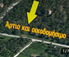 ΤΡΑΓΑΚΙ ΖΑΚΥΝΘΟΥ