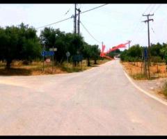 ΤΡΑΓΑΚΙ ΖΑΚΥΝΘΟΥ