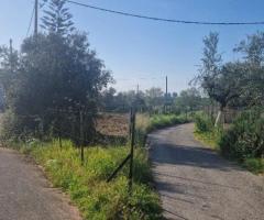 Πωλείται γωνιακό οικόπεδο στη Μεσσήνη