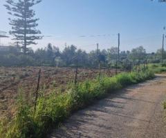 Πωλείται γωνιακό οικόπεδο στη Μεσσήνη