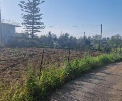 Πωλείται γωνιακό οικόπεδο στη Μεσσήνη