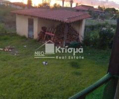 Επιπλωμένη μονοκατοικία ισόγειο συνολικής επιφάνειας 110 τ.μ. - Εικόνα 10/12