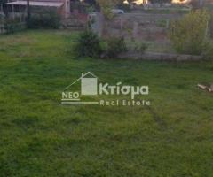 Επιπλωμένη μονοκατοικία ισόγειο συνολικής επιφάνειας 110 τ.μ. - Εικόνα 11/12