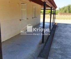 Μονοκατοικία ισόγειο συνολικής επιφάνειας 90 τ.μ. - Εικόνα 9/12